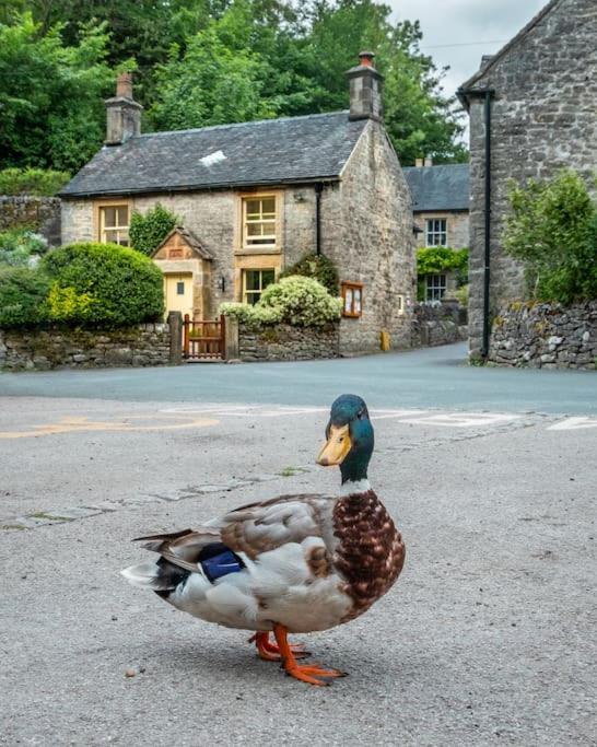 Duck Cottage Milldale Alstonefield Peak District Alstonfield Eksteriør bilde